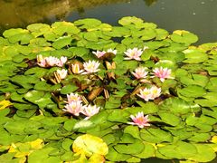 -国家植物园南园