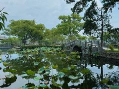 -无锡蠡湖国家湿地公园-蠡园