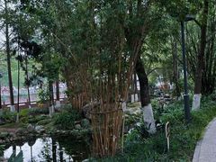 -成都市活水公园