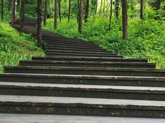 -青城山