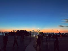 -宝安西湾红树林湿地公园