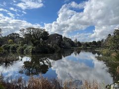-墨尔本皇家植物园