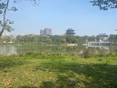 -海珠湖公园