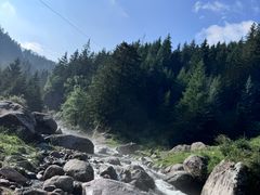 -芦芽山旅游度假区