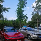 每一次都有进步