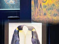 -罗红摄影艺术馆