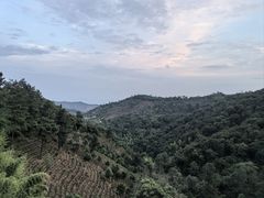 -安吉涵田度假村·水榭居中餐厅