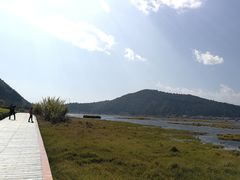 -腾冲北海湿地