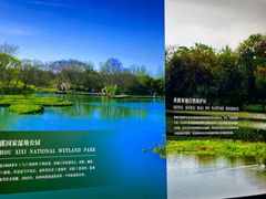 -溱湖国家湿地公园