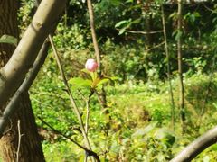 -西湖风景区-江洋畈生态公园