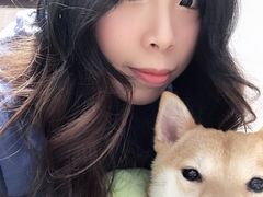 -逗柴咖啡屋·狗咖猫咖宠物桌游
