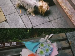 -绵阳人民公园(涪城区)