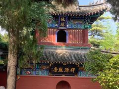 -洛阳白马寺