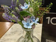 -gaga(深圳南山益田假日广场店)