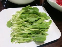 -牛鼎盛新疆雪花鲜牛火锅(武夷绿洲 店)
