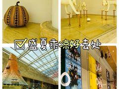 -德基艺术博物馆