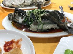 老虎斑-蚝专家(北滘店)