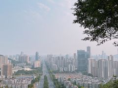 -板樟山森林公园