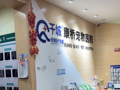 -千城康桥宠物医院·猫科·骨科·心脏