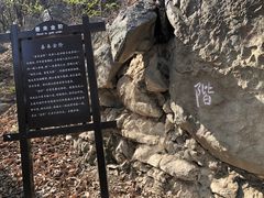 -阳台山自然风景区