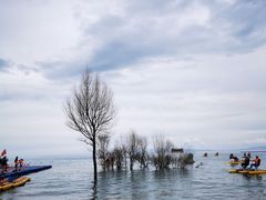 -青海湖国家重点风景名胜区