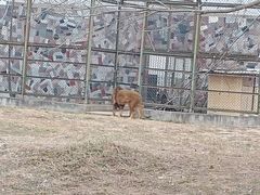 -宿豫区运河湾森林动物园