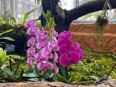 -国家植物园南园