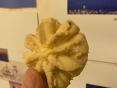 原味小花-珍妮曲奇聪明小熊(尖沙咀店)