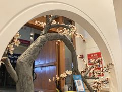 -不凡脑禅境·养生·舒压调理SPA(华发世纪城店)