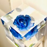 在作品中看作品