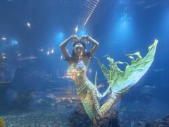 -涛·海底餐厅·美人鱼·自助餐·海底隧道(三亚海棠湾洲际度假酒店)