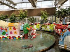 -南宫五洲植物乐园