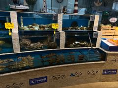 -福娣·金沙银贝海鲜火锅