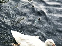 -水磨沟公园