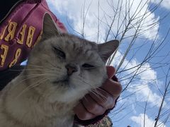 -丽江泸沽湖景区