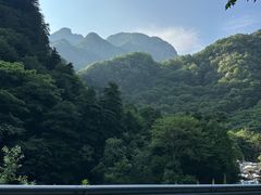 -秦岭风景区