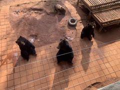 -昆明动物园