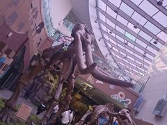 -陕西自然博物馆