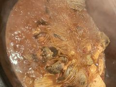 猪肉炖粉条-粗粮人家·东北菜(洋桥店)