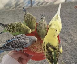 -萌宠亲子动物乐园(槐房万达店)