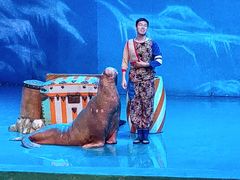 -大连圣亚海洋世界