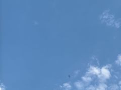 -木塔寺遗址生态公园