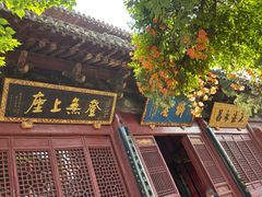 -洛阳白马寺