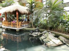 -南宫五洲植物乐园