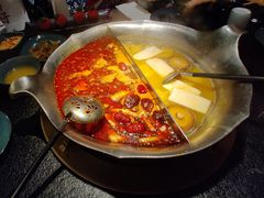 台式麻辣花胶鸡鸳鸯锅-湊湊火锅·茶憩(世博大道店)