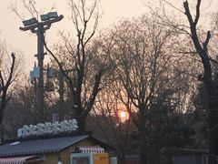 -华清宫景区