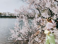 -颐和园-景明楼