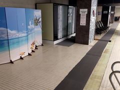 -蓝天国际游泳培训基地(华腾园店)