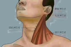 -名发世家烫染