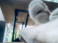 -潮汕龙记·普宁肠粉